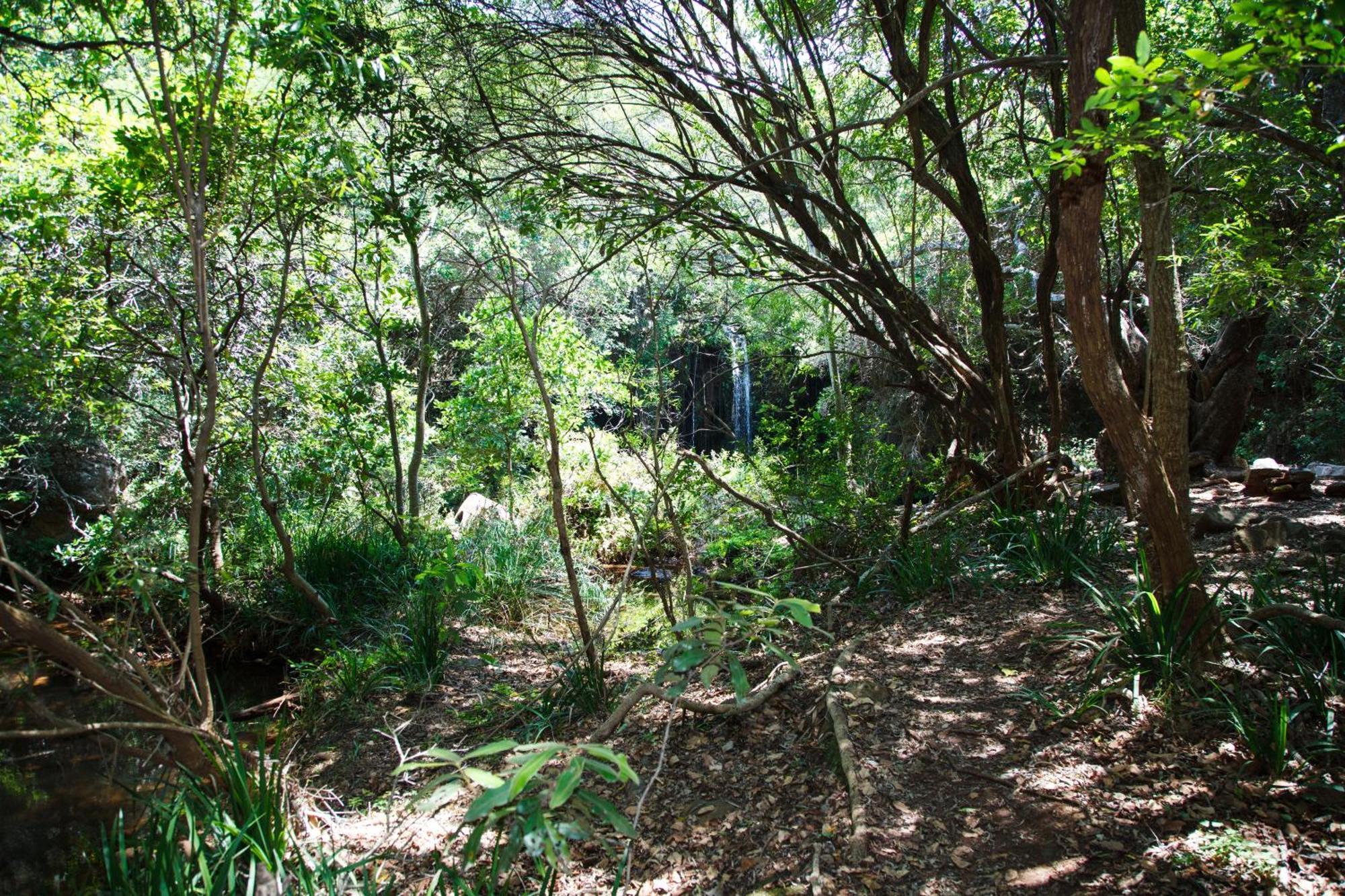 Blyde Canyon, A Forever Resort Matibidi Bagian luar foto
