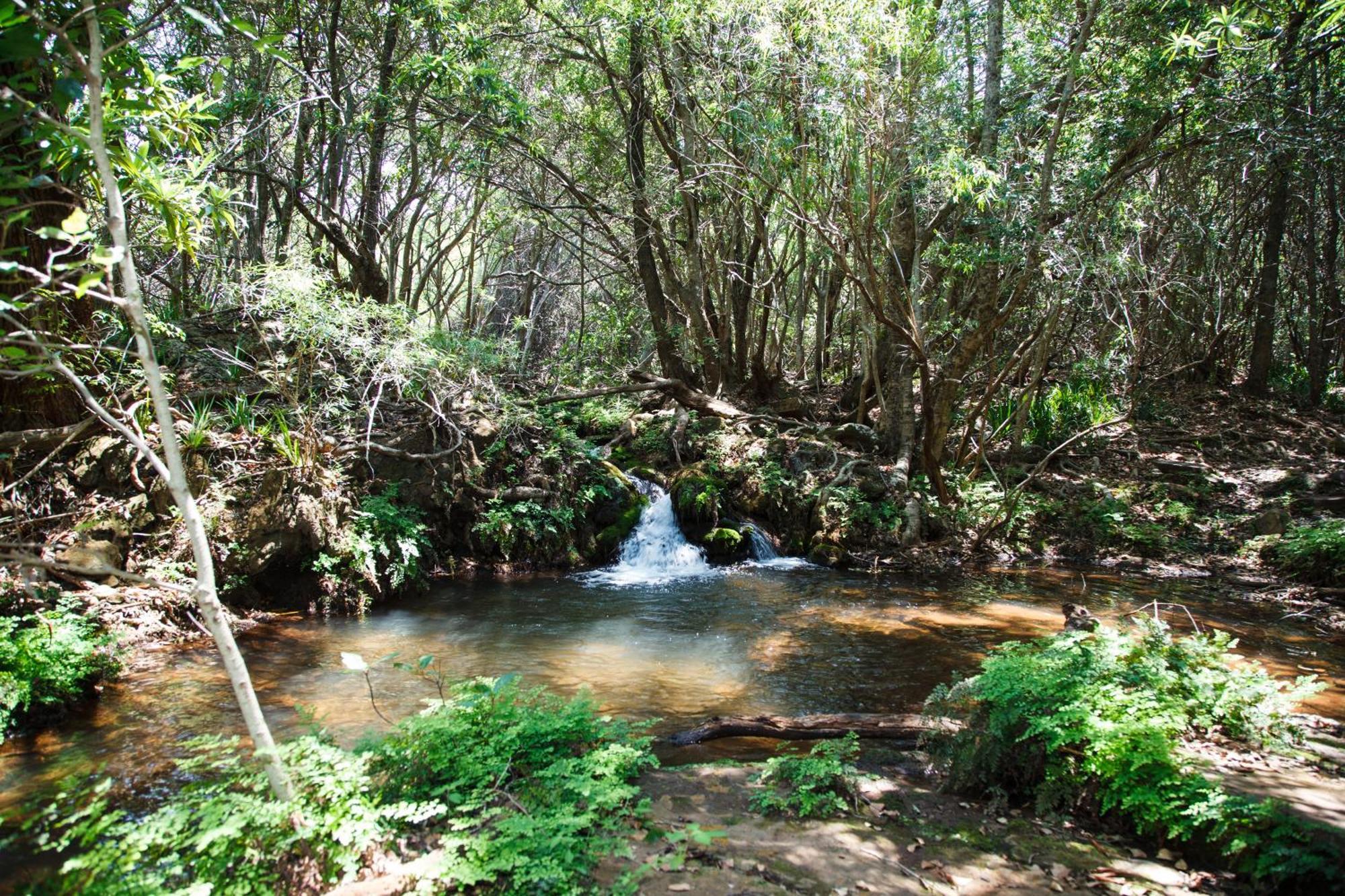 Blyde Canyon, A Forever Resort Matibidi Bagian luar foto